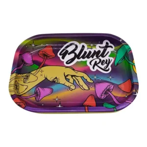 bandeja chica hongos blunt rey Tomaco bandeja chica hongos blunt rey Tomaco