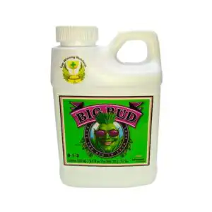 bigbudadvanced Tomaco bigbudadvanced Tomaco
