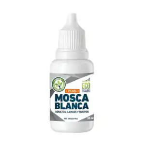 eco mambo mosca blanca 30cc Tomaco eco mambo mosca blanca 30cc Tomaco