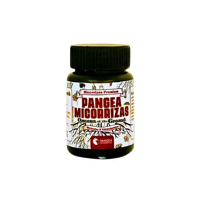 pangeamicorrizas 130gr Tomaco pangeamicorrizas 130gr Tomaco