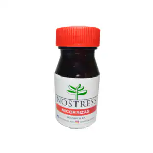 panostress micorrizas Tomaco